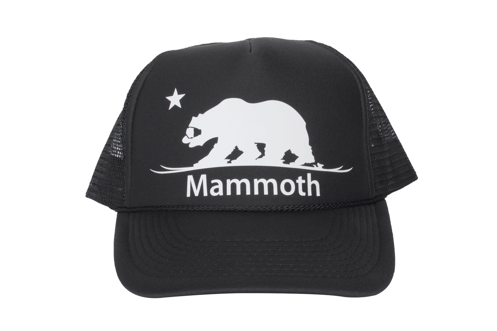 Mammoth Ski Bear