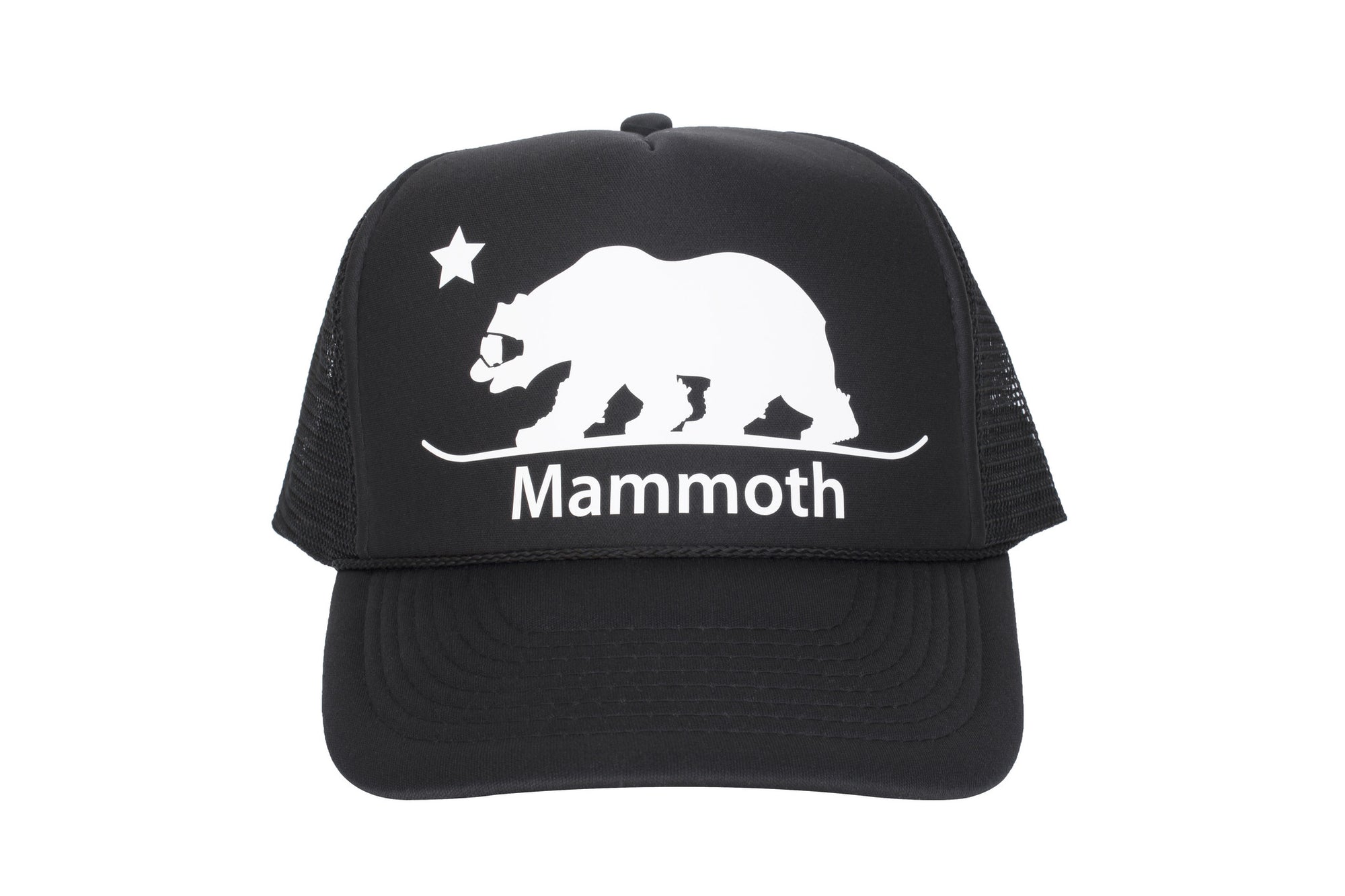 Mammoth Snowboarding Bear