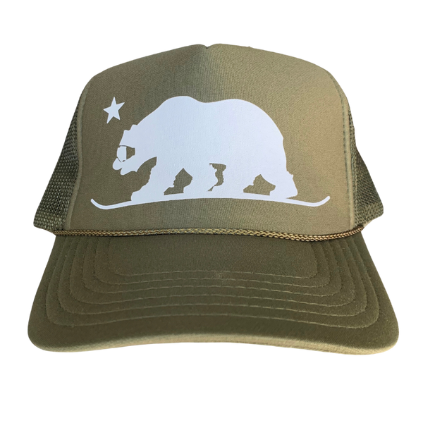 Snowboarding Bear